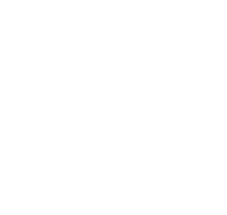 BSI