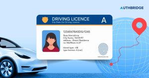 International Driving Permit/Licence