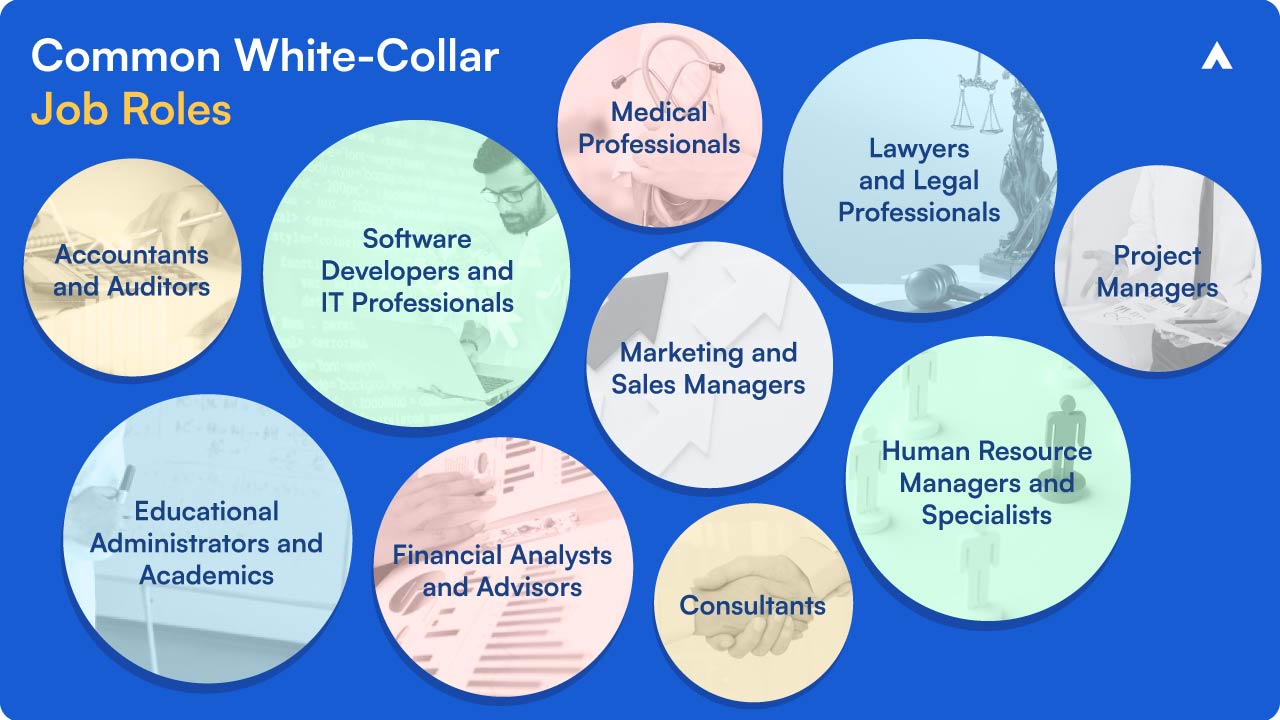 Common White-Collar Jobs